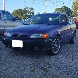Tofu